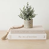 Vine Creations Decorative Books - Set of 2 Linen Hardcover Boxes with Storage - Aesthetic Fake Books for Decoration for Home, Shelf, Bookshelf Decor, Coffee Table Decor, as Storage or Keepsake Box