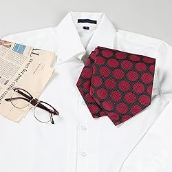 Allegra K Cravat Ties for Men Polka Dots Cravat