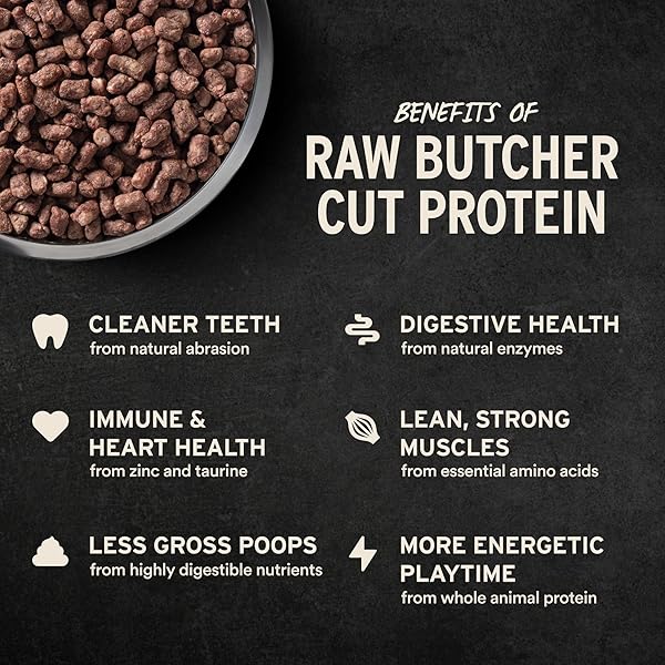 VITAL ESSENTIALS FREEZE DRIED DOG FOOD, RAW BEEF CRUNCHY MINI NIBS | COMPLETE MEAL OR TOPPER | 96% BEEF, ORGANS & BONE | LIMITED INGREDIENT, HIGH PROTEIN, GRAIN FREE DRY DOG FOOD | 14 OZ BAG