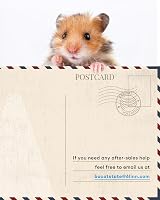Hamster Cage 3.0 Large Stackable 100L x 50W x 52H cm 0.5m² view 9
