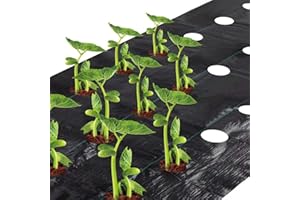 Agfabric Landscape Fabric Weed Barrier 3x12ft 3.0oz Ground Cover Garden Mats 4''x6''x3rows for Raised Bed