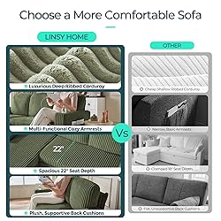 LINSY HOME Loveseat Sofa with Storage - Comfy Plush