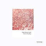 Hemway Light Rose Gold Glitter Shaker 130g Extra Chunky Glitter view 2
