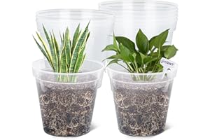 GREANER 10 Inch Nursery Pots, Clear Reinforced Plant Nursery Pots, High Transparency Flower Plant Container with 20 Plant Labels for Flowers, Seeds, Succulents, Vegetables(10PCS)
