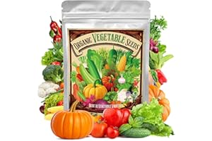 SPROUT N GREEN Organic Vegetable Seeds 32 Varieties, 8,600+ Heirloom Seeds Gift Pack, Non-GMO Veggies Seed Starter Kit for Indoor Outdoor Growing, Home Fresh Food Vegetable Supply