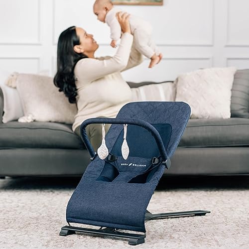 Baby Delight Alpine Deluxe Portable Bouncer, Infant, – Months