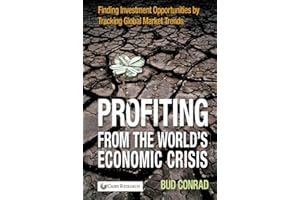 Profiting from the World's Economic Crisis: Finding Investment Opportunities by Tracking Global Market Trends