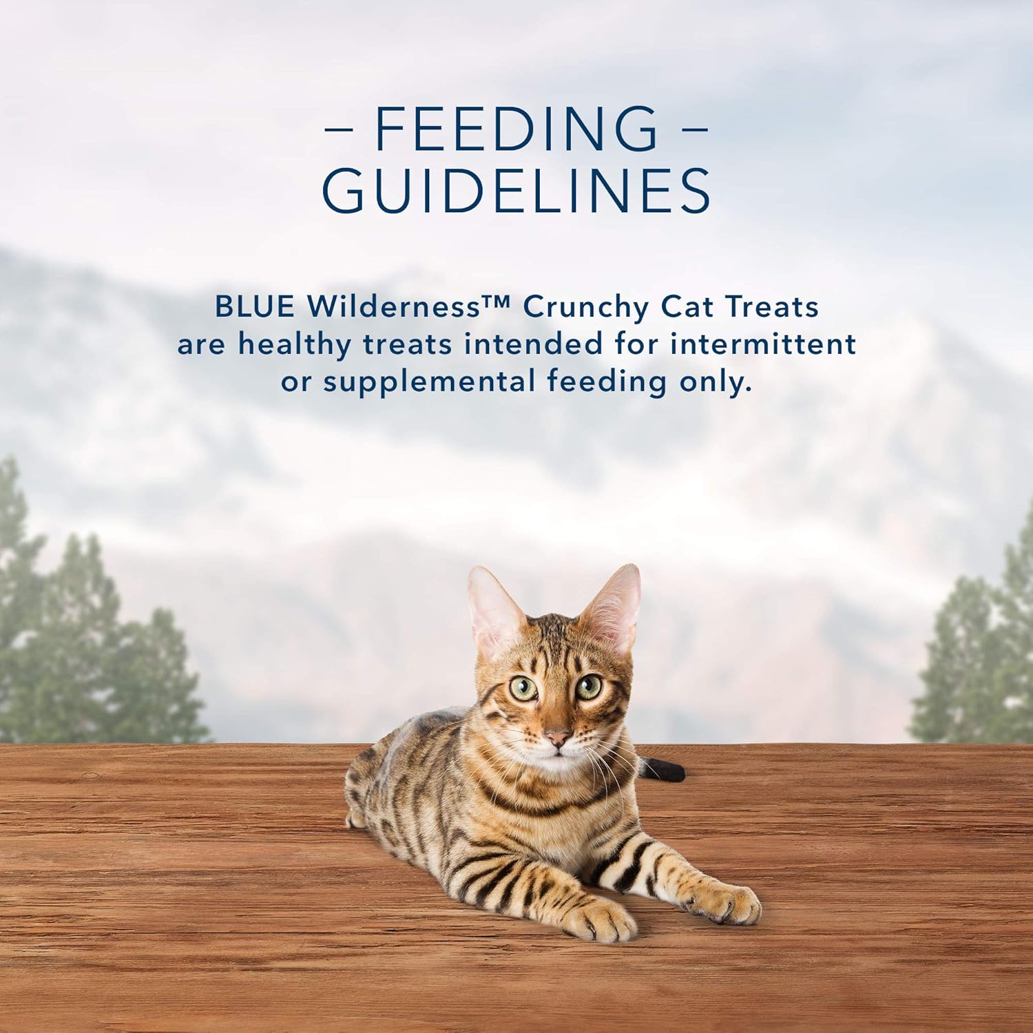 Blue Buffalo Wilderness Grain Free Crunchy Cat Treats, Chicken 12-oz Tub : Pet Supplies