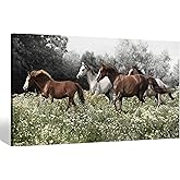 Color Play Horse Canvas Wall Art Pictures: Brown and White Horses Print Western Wild Animal Painting Rustic Wildlife Running on Grass Artwork for Living Room Bedroom Office Decor 40 x 20 inch
