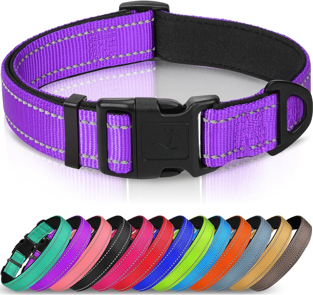 Joytale Reflective Dog Collar XS Purple, Neoprene Padded Nylon, Adjustable