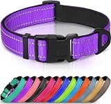Joytale Reflective Dog Collar Nylon Neoprene Padded Medium Purple