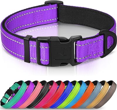 Joytale Reflective Dog Collar Neoprene Padded Nylon Small Purple