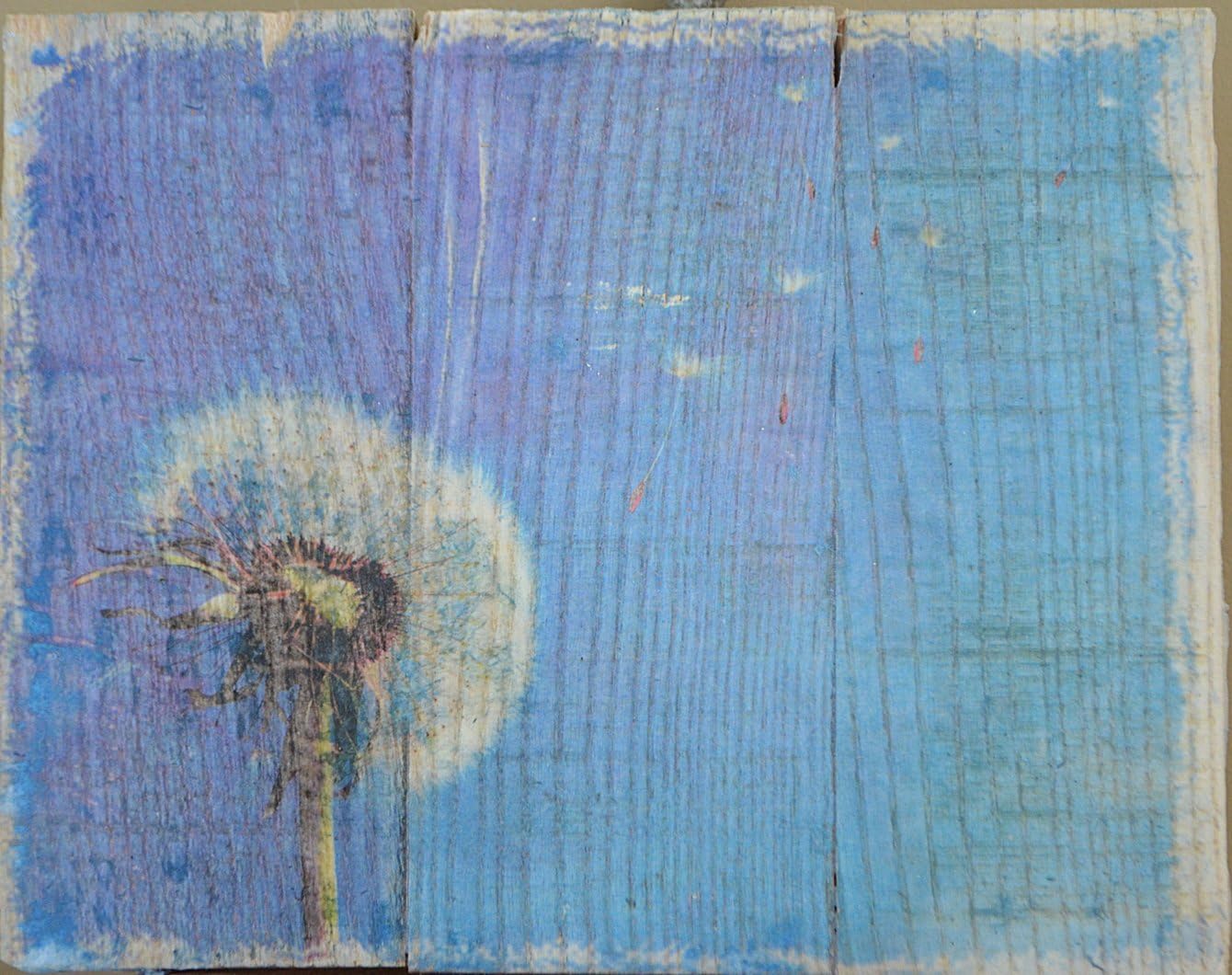 Dandelion Wish Recycled Wood Transfer Wall Art