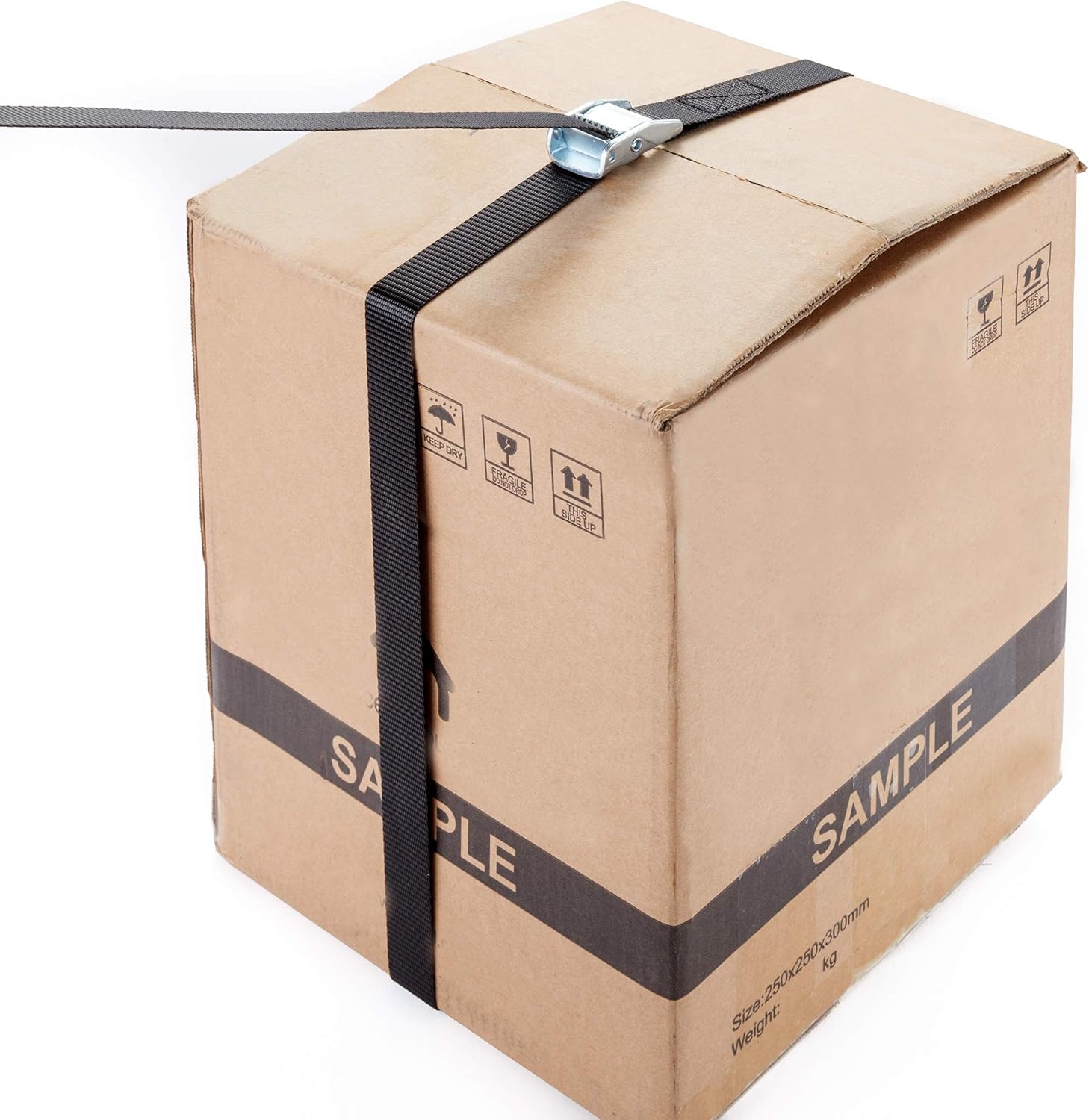CARTMAN 1" x 12' Lashing Straps up to 600lbs, 4-10pk Quantity for Option in Carry Bag (6pk): Automotive