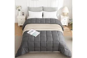 BEDENSIT King Dark Grey Bedding Comforter, Down Alternative Duvet Insert, All Season Comforter with Corner Tabs, Machine Washable, Lightweight