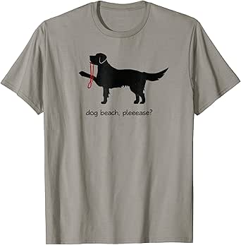 vtech ride & learn giraffe bike