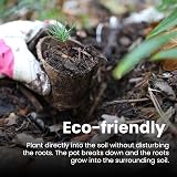 DIVCHI 96x 6cm Biodegradable Seedling Pots Paper Cups for Herbs Vegetables view 4