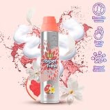 1001 Carpet Fresh Mixed Triple Pack Brand New Odour Remover Foam view 5