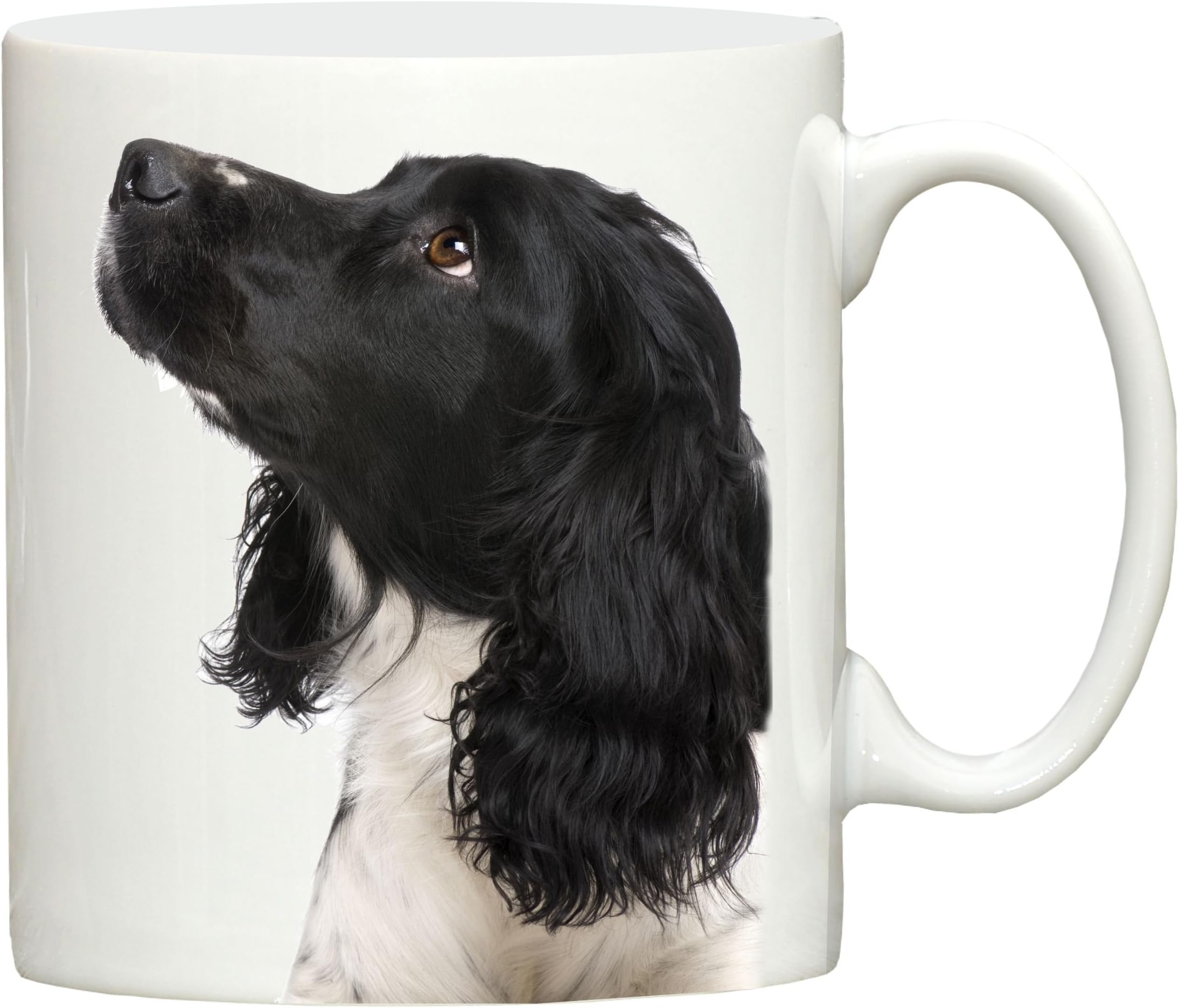 Dog Exhibitor Black Springer Spaniel Dog Head design hand printed ceramic mug printed in the UK merchandise, great for tea, coffee and most hot or cold beverages.