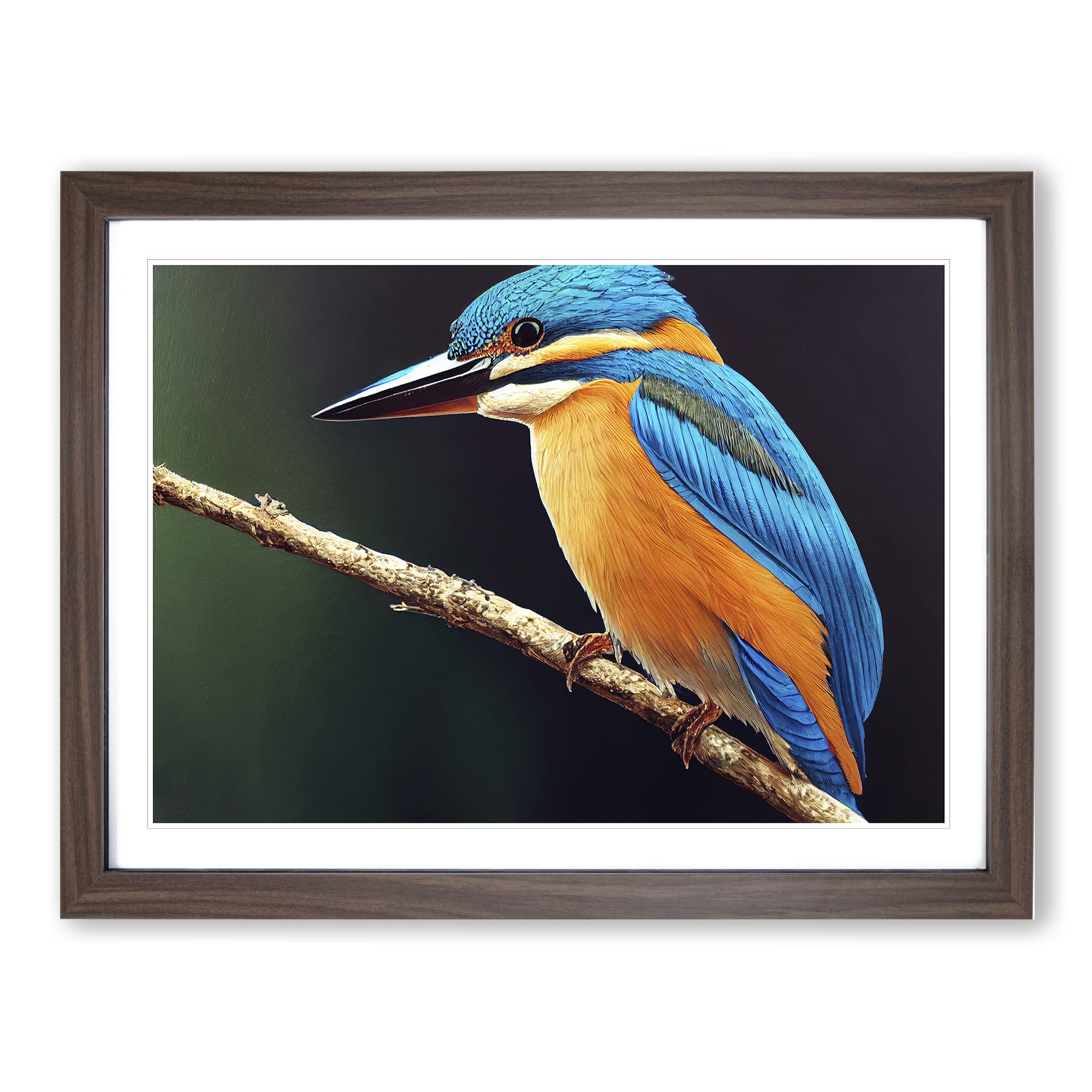 Staggering Kingfisher Bird Framed Print | A4 Walnut Framed Wall Art | Ready to Hang | Modern Nature Picture | Living Room Bedroom Lounge Office