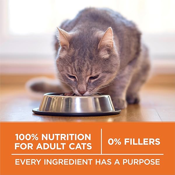 PURINA ONE HIGH PROTEIN, HEALTHY WEIGHT PLUS IDEAL WEIGHT WITH CHICKEN DRY CAT FOOD – 3.5 LB. BAG
