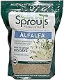 Nature Jims Alfalfa Sprout Seeds – 16Oz Organic Sprouting Seeds – Non-GMO Premium Alfalfa Seeds – Resealable Bag for Longer Freshness – Rich in Vitamins, Minerals, Fiber