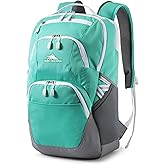 High Sierra Swoop SG Backpack, Travel or Work Laptop Bookbag with Drop Protection Pocket, and Tablet Sleeve, One Size, Aquamarine