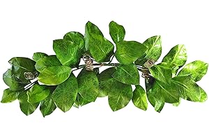 VGIA 36" Magnolia Leaf Swag