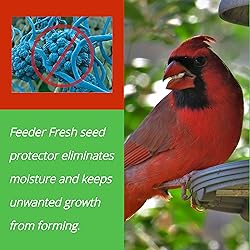 Sapphire Labs Feeder Fresh Bird Feeder and Seed