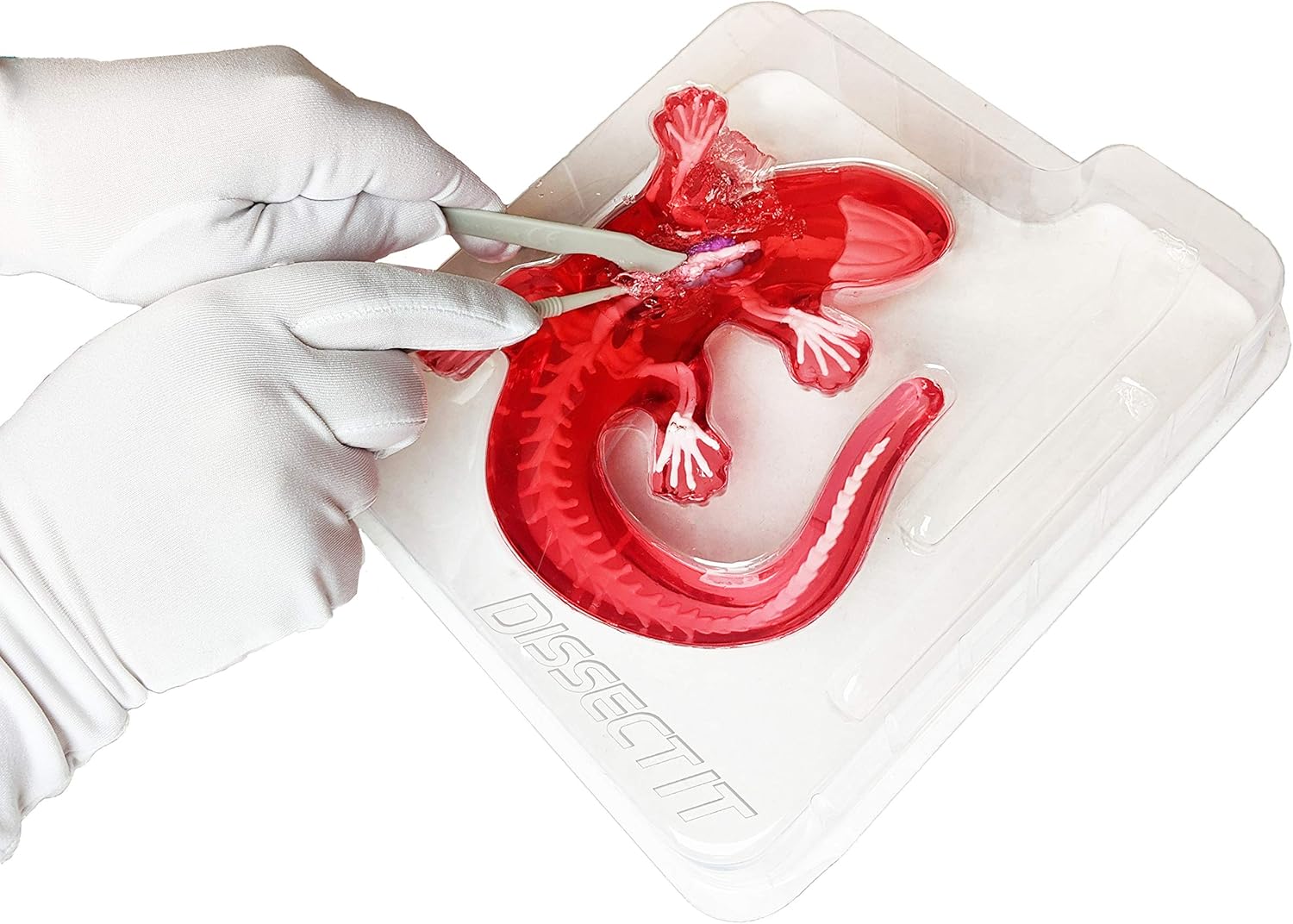 Top Secret Toys Dissect-It Simulated Synthetic Lab Dissection STEM Toy | Kids Home Learning Science Project, Great for Young Scientists! - Salamander: Toys & Games