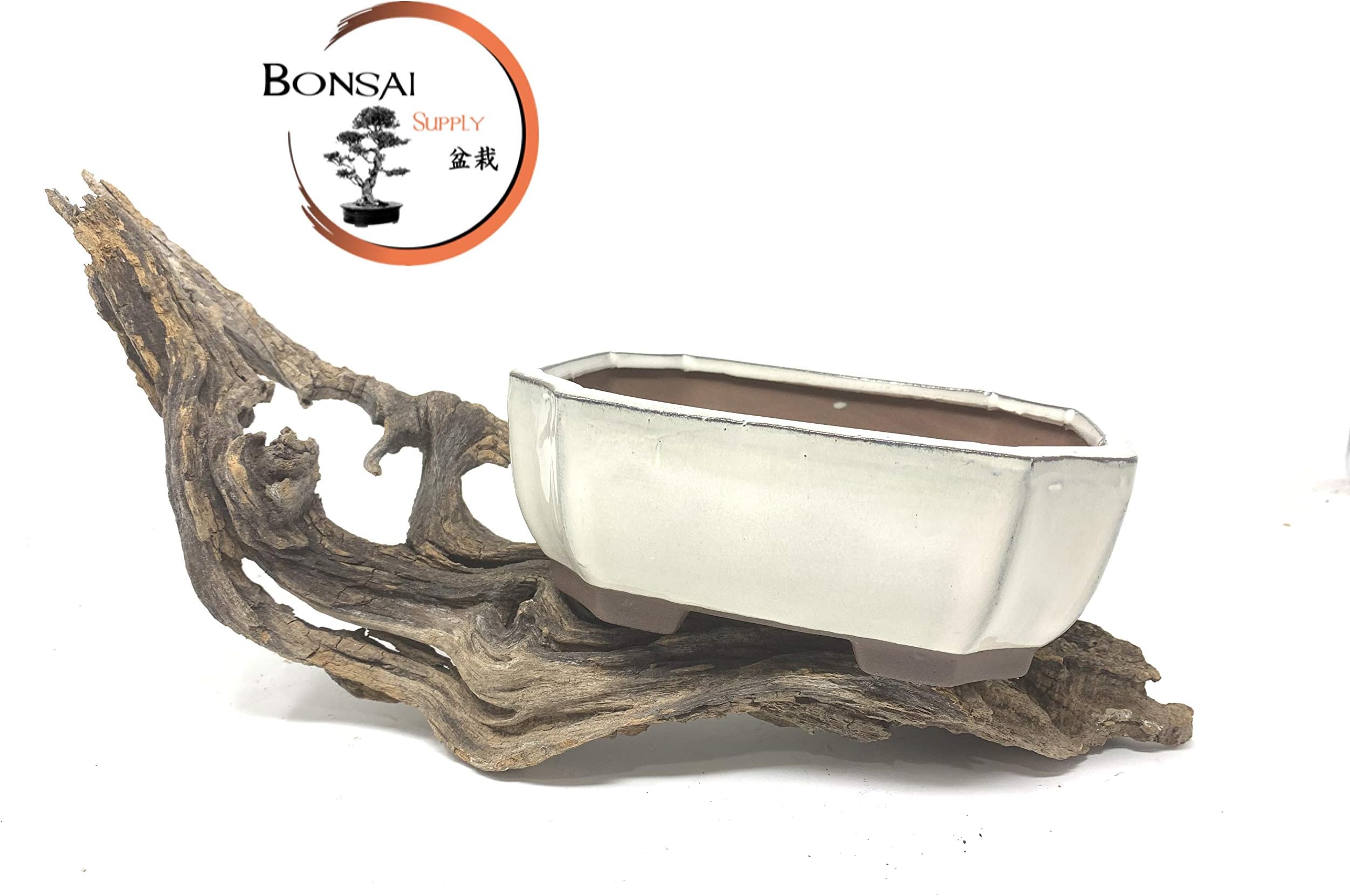 6" Glazed and Unglazed Bonsai Tree Pots by The Bonsai Supply (Brilliant White)