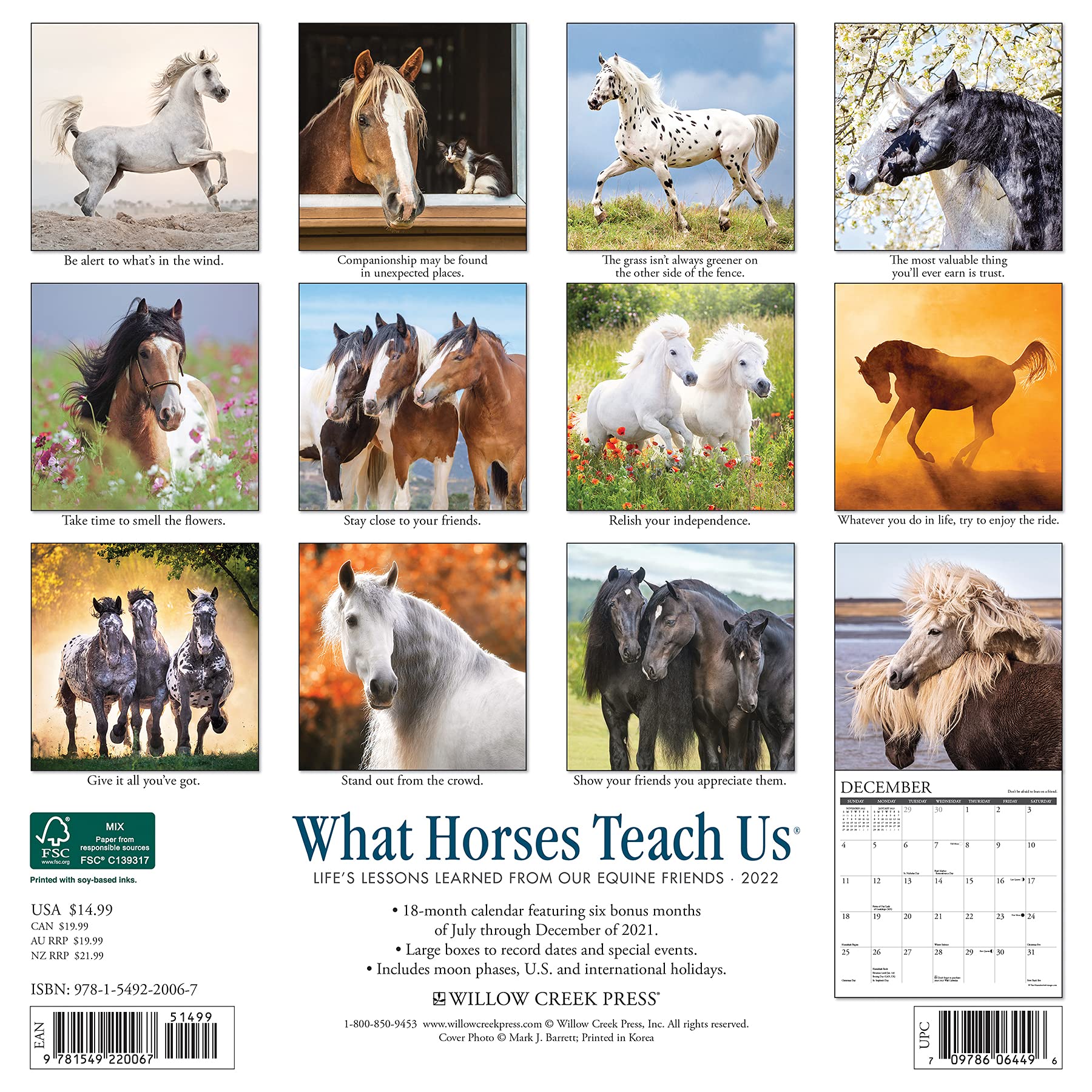 Christmas In July Sales 2022 Horse What Horses Teach Us 2022 Wall Calendar: Amazon.co.uk: Willow Creek:  9781549220067: Books