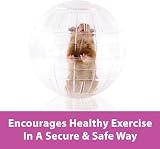 Kaytee Run About Ball Clear 17.8 cm Diameter for Hamsters Gerbils view 2