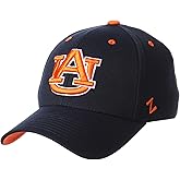 ZHATS NCAA Mens Stretch Fitted Hat Team Color