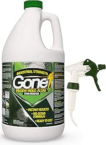 pool algae stain remover