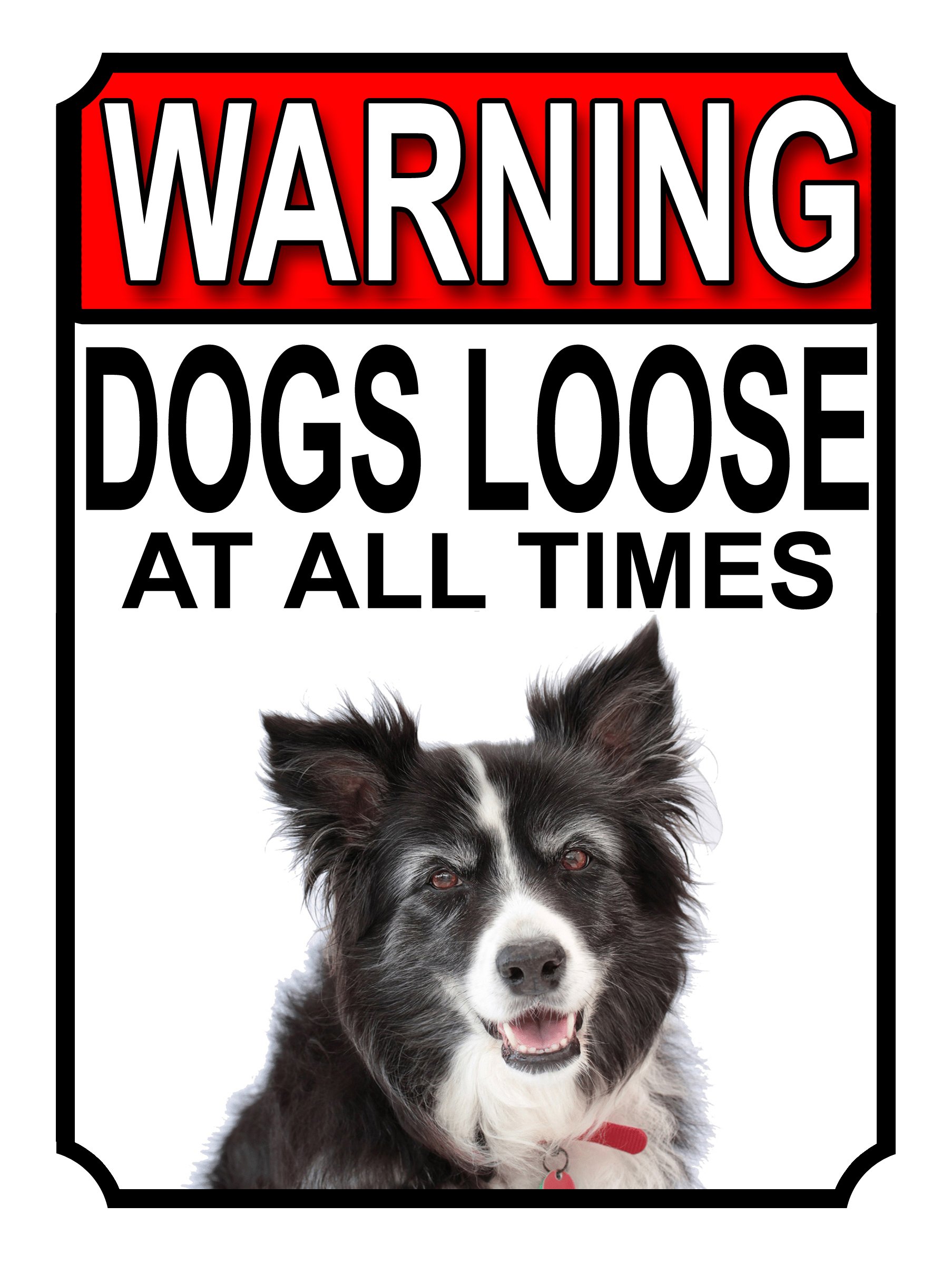 Shawprint Limited WARNING DOGS LOOSE AT ALL TIMES METAL GATE SIGN BORDER COLLIE 200MM X 150MM (1244H1) — image 1