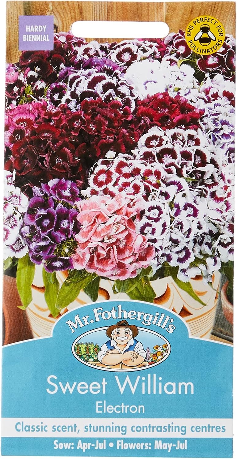 Mr Fothergill?s Seeds Ltd 20756 Mr Fothergill's Sweet William Electron, Mixed