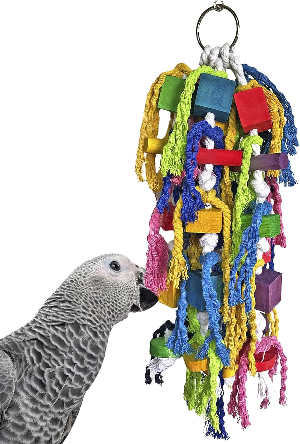 parrot toys online