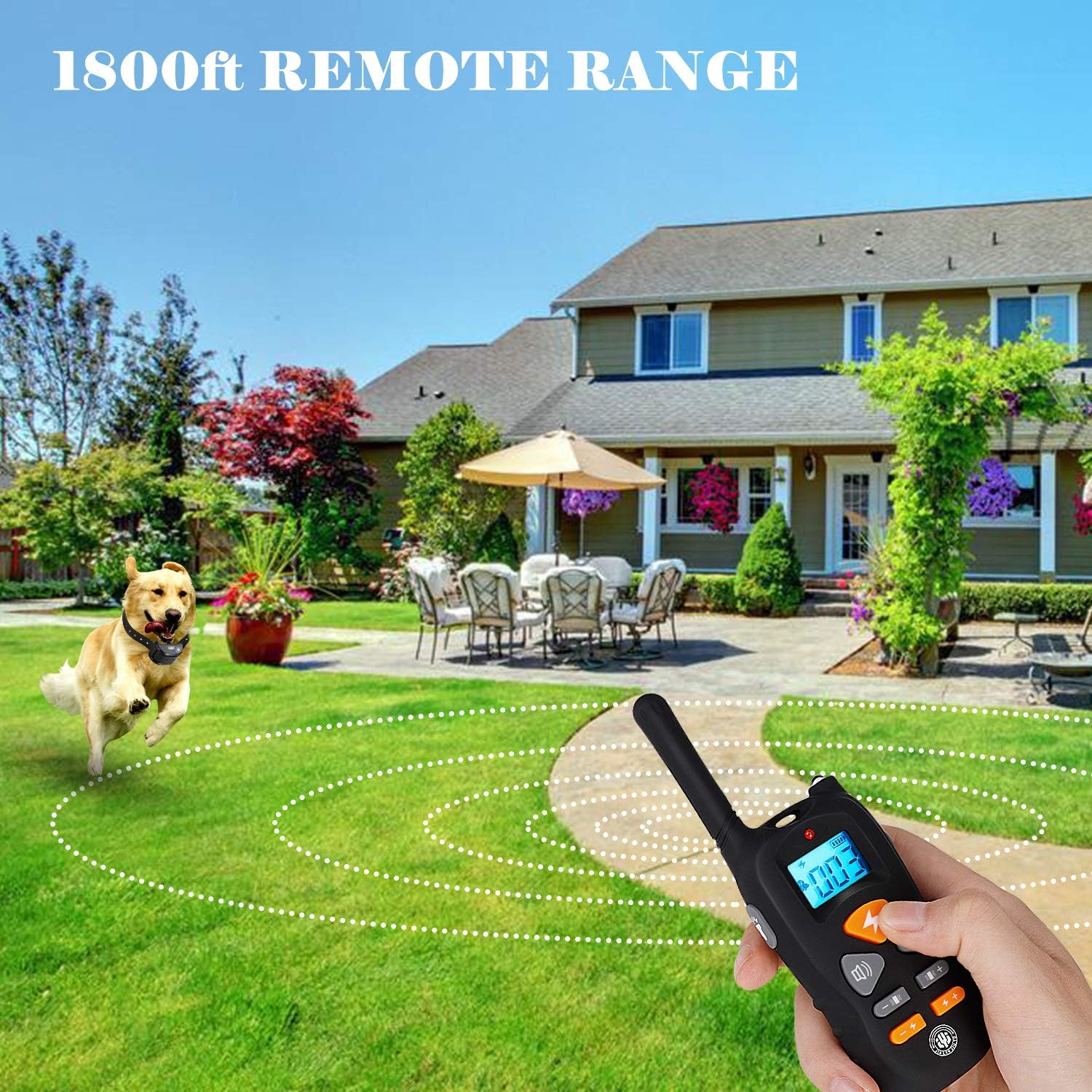 jia lan jiu yu dog training collar