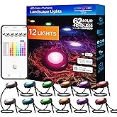 Enbrighten Premium LED Smart Garden Lights, 12 Landscape Lights, 110ft Cord plus 22ft Lead Wire, Compatible with Alexa and Google Play, Color Changing, App Control, Outdoor Landscape Lighting, 58105