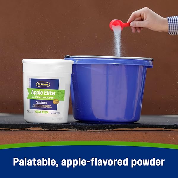 FARNAM APPLE ELITE HORSE ELECTROLYTES POWDER SUPPLEMENT, REPLACES VITAL MINERALS, ENCOURAGES HYDRATION, SUGAR-FREE, CONTAINS SODIUM, POTASSIUM, CALCIUM & MAGNESIUM, APPLE FLAVORED, 5 LB