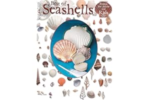 Best of Seashells: Projects for Adults & Kids (Design Originals) More Than 40 Fun & Easy Projects Using Common Shells Found at the Beach to Decorate Items for Home Decor, Gifts, Jewelry, Cards, & More