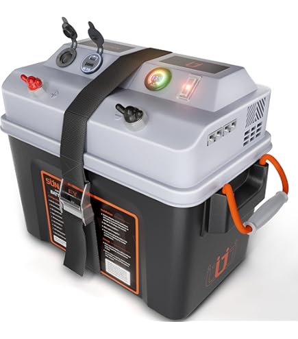 Amazon.com: FLLYROWER 24V Lithium Battery 60AH With BMS and 16500