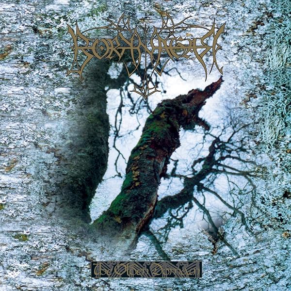 Borknagar - Borknagar (25th Anniversary Re-issue 2021) - Amazon