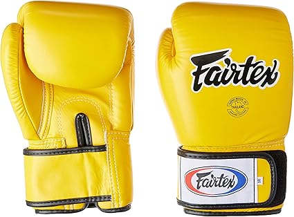 fairtex 14oz gloves