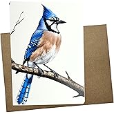 Whitman and Daughter Blue Jay Bird Greeting Card, 5x7 Inch, Blank Inside, Premium White Cardstock with Kraft Envelope, Made in USA, Blue Jay Birthday Card - 1251