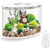 biOrb Loop 15 Acrylic 4-Gallon Aquarium with Multi-Color Remote-Controlled LED Lights Modern Compact Tank for Tabletop or Desktop Display, White-Trimmed Tank