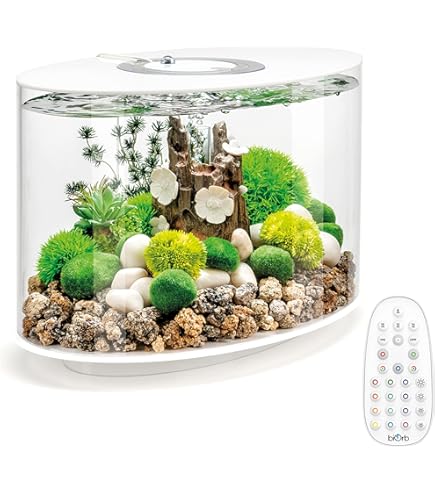 biOrb Life 15L バイオーブ ホワイト LIFE 15 Aquarium with Standard Light - 4 gallon – biOrb