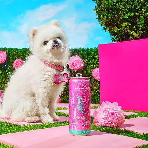 ALANI NU PINK SLUSH, SUGAR FREE, LOW CALORIE ENERGY DRINKS, 200MG CAFFEINE, BIOTIN, B VITAMINS, ZERO SUGAR, 5 CALORIES, 12 FL OZ CANS, 24 PACK