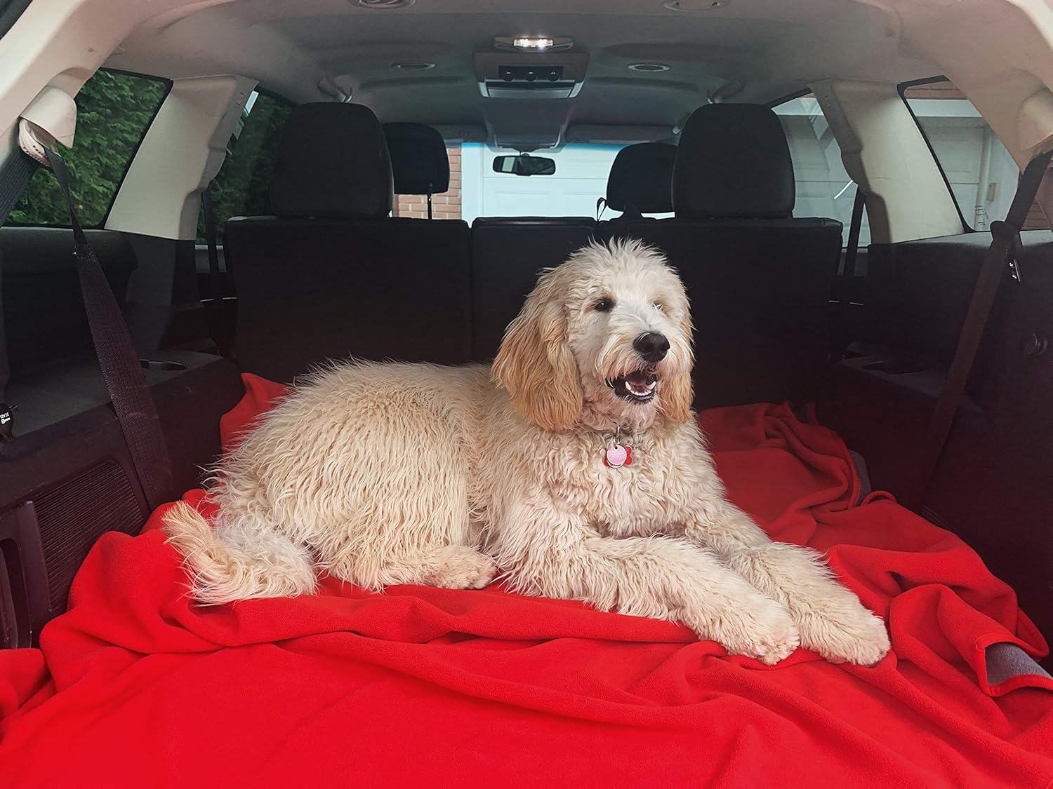TOP Waterproof Blanket - Keeps Everything 100% Dry - No Matter How Wet It Gets! Deluxe Bed Mattress and Furniture Protector for People and Pets, Soft Fleece (Red Gray Reversible, Jumbo 80x60): Home & Kitchen